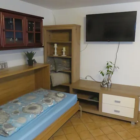 Mit Terrasse In Apartment