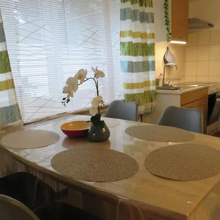 Mit Terrasse In 公寓 *